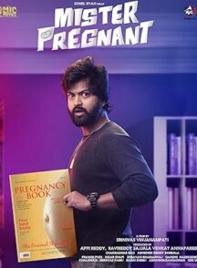 دانلود فیلم Mr. Pregnant