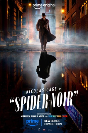 دانلود سریال  Spider-Noir
